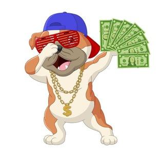 MoneyDoge