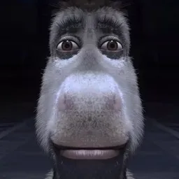 DONKEY