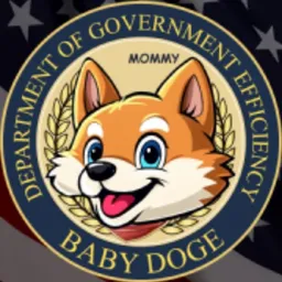 Baby DOGE