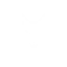 OKMV2