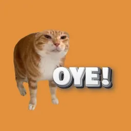 OYE