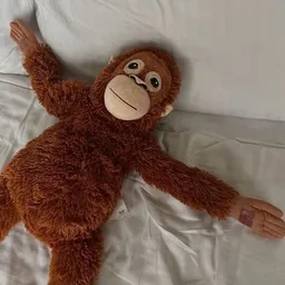 orang