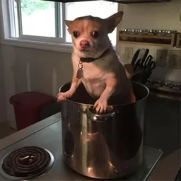 COOKED