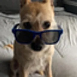 Dixie