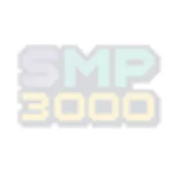 3000