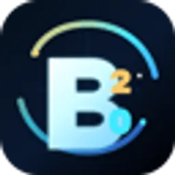 B20