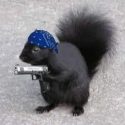 SQUIGGER