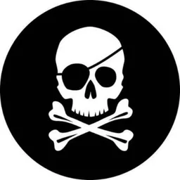🏴‍☠