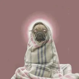 RUGPUG
