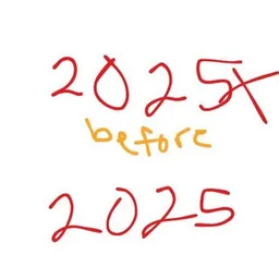 2025x