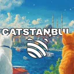 CATSTANBUL