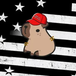 Magabara