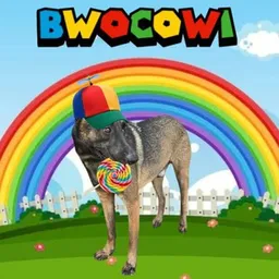 Bwocowi