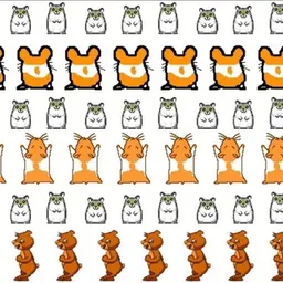 HAMSTER