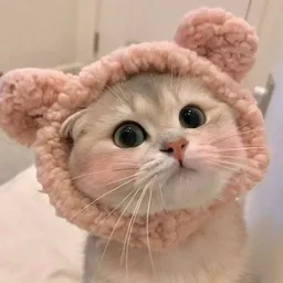MIMI