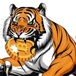 BTCTiger