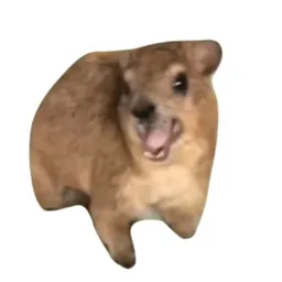 HYRAX