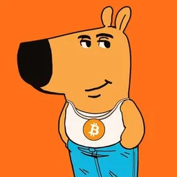 BTCGUY