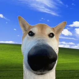 whif