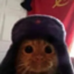 кот