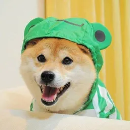 FROGE