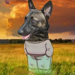 CHILLBRO