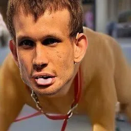 Dogvitalik