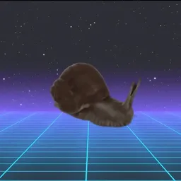 SNAIL