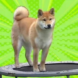 OSCAR