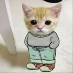 RIZK