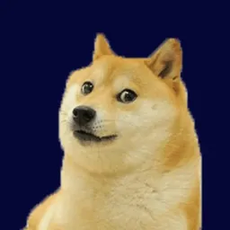 DOGE
