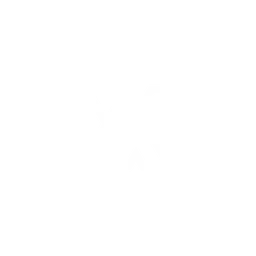 XAgentAI