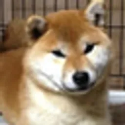 SHUUREI