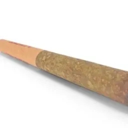 $joint
