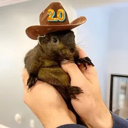 PNUT2