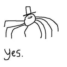 Spider
