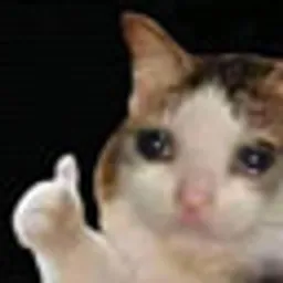 sadcat