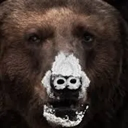 Cocaine Bear