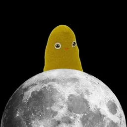 foo