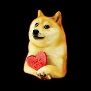 DOGEV