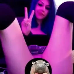 XDPUSSY