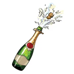 $POPCHAMPAGNE COIN 