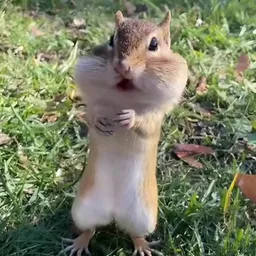 charlie
