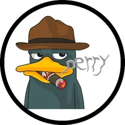 PERRY