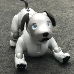 AIBO