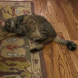 MRKATZ