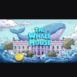 The whale house 