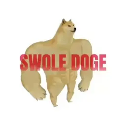SWOLEDOGE