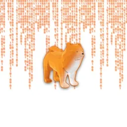 ROKO