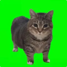 OiiAi
